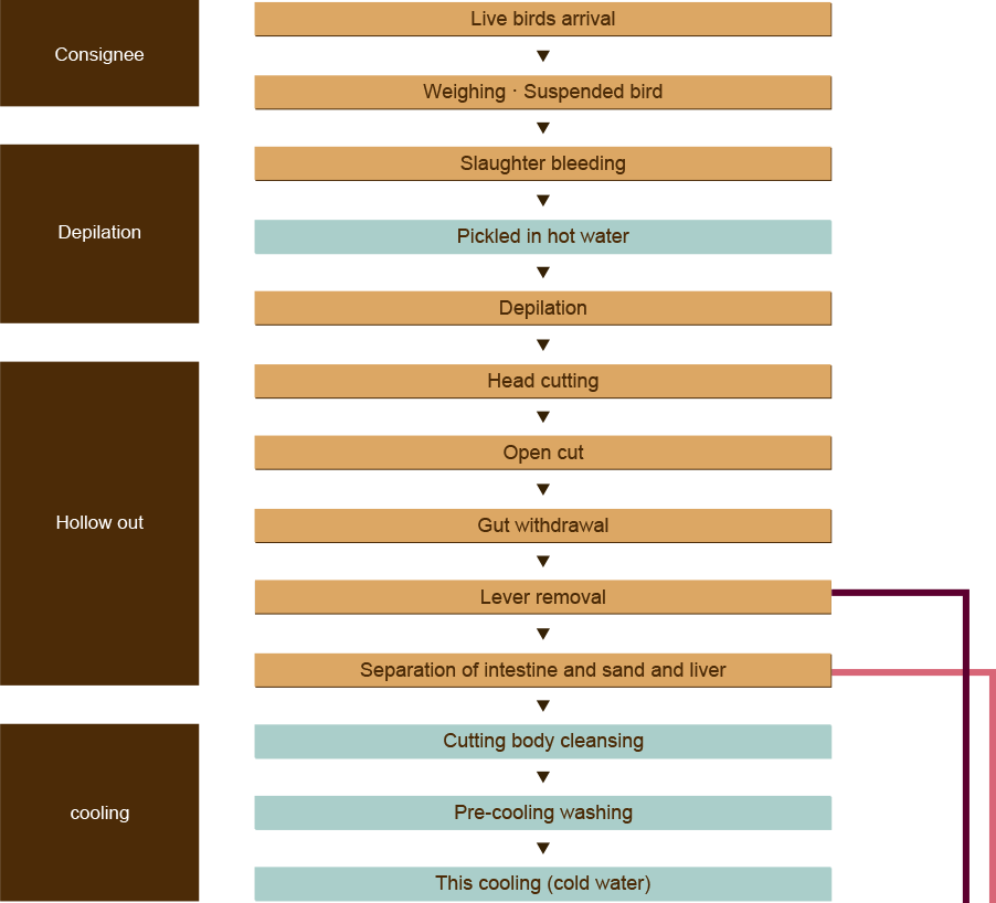 Processing step